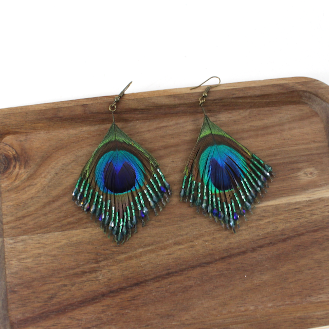 Peacock Splendor Feather Earrings